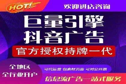 某行业SEM主管的优化策略与成果展示